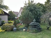 Namas miesto centre. Dvigubas žemės sklypas - nuotraukos Nr. 5