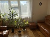 Namas miesto centre. Dvigubas žemės sklypas - nuotraukos Nr. 20