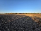 Parduodu derlingą žemę, ką tik sudiskuotą ir