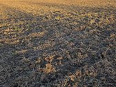 Parduodu derlingą žemę, ką tik sudiskuotą ir - nuotraukos Nr. 2