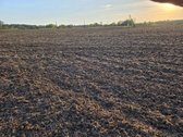 Parduodu derlingą žemę, ką tik sudiskuotą ir - nuotraukos Nr. 3