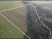Parduodamas 5,45 Ha Žemės Sklypas Pasvalio - nuotraukos Nr. 2