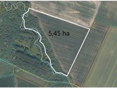 Parduodamas 5,45 Ha Žemės Sklypas Pasvalio - nuotraukos Nr. 4