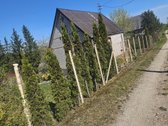 Kėdainių r. sav., Pašilių k. - nuotraukos Nr. 13