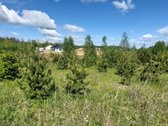 Parduodamas labai geroje vietoje esantis - nuotraukos Nr. 7