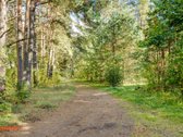 Baltijos Vokės Centre Parduodamas 3 Kambarių - nuotraukos Nr. 40