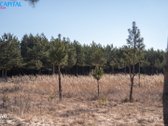 Galimas Mokėjimas Dalimis: - nuotraukos Nr. 18