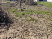 Parduodame 30 a. namų valdos žemės sklypa - nuotraukos Nr. 2