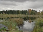 Parduodamas 0,0575 ha žemės sklypas su sodo - nuotraukos Nr. 11