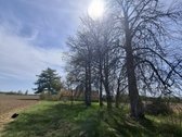Parduodama jauki ir autentiška sodyba - nuotraukos Nr. 15