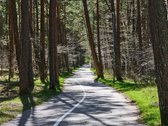 Naujai įrengtas 2 kambarių butas Dragūnuose - nuotraukos Nr. 38