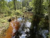 Parduodamas sklypas, kuris ribojasi su Meros