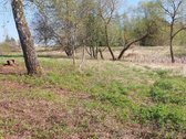 Parduodamas unikalus žemės sklypas prie - nuotraukos Nr. 4