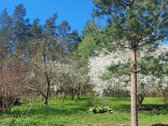Parduodamas erdvus gyvenamasis namas ramioje - nuotraukos Nr. 8