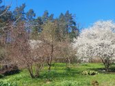 Parduodamas erdvus gyvenamasis namas ramioje - nuotraukos Nr. 9