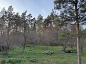Parduodamas erdvus gyvenamasis namas ramioje - nuotraukos Nr. 11