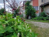 Parduodamas erdvus gyvenamasis namas ramioje - nuotraukos Nr. 5