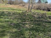 Parduodamas 6 a. sodo sklypas Armonos sodų - nuotraukos Nr. 4