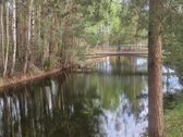 Parduodamas tvarkingas ir kokybiškai - nuotraukos Nr. 18