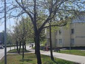 Itin Patogioje Vietoje Nuomojamos - nuotraukos Nr. 20