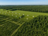 Slabados Parkas – Investicinis Sklypų - nuotraukos Nr. 2