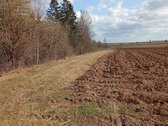 Parduodamas sklypas - sodyba su fiziškai - nuotraukos Nr. 6