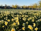 Parduodamas Stilingas Ir Jaukus 2 Kambarių - nuotraukos Nr. 11