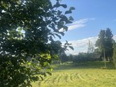 Parduodama Sodyba Ant Ežero Kranto Šalia - nuotraukos Nr. 12