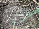 Parduodamas 43a sklypas adresu Panevėžio - nuotraukos Nr. 2
