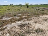 Parduodamas 43a sklypas adresu Panevėžio - nuotraukos Nr. 12