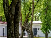 Artimojoje Antakalnio dalyje, vos kelios - nuotraukos Nr. 27