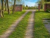 Pabėkite nuo miesto triukšmo – čia prasideda - nuotraukos Nr. 3