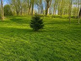 Pabėkite nuo miesto triukšmo – čia prasideda - nuotraukos Nr. 7