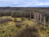 2,7011 Ha Sklypas Gyvenamųjų Namų Kvartalo - nuotraukos Nr. 10