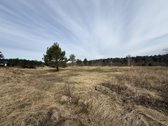 Parduodamas 13,98 a sklypas Jurbarke, - nuotraukos Nr. 3