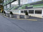 Išnuomojamas šviesus cokolinis aukštas su - nuotraukos Nr. 3