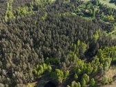 Parduodamas 10.77 ha bendro ploto žemės ūkio - nuotraukos Nr. 3