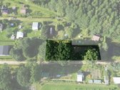 Prienų rajone, Papilvio kaime, Narcizų - nuotraukos Nr. 5