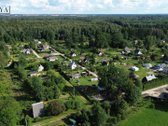 Prienų rajone, Papilvio kaime, Narcizų - nuotraukos Nr. 6