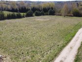 Parduodamas erdvus 55,68 arų žemės ūkio - nuotraukos Nr. 2
