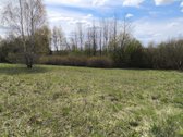 Parduodamas erdvus 55,68 arų žemės ūkio - nuotraukos Nr. 5