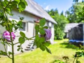 Namas Su Tvenkiniu Ir Pirties Potencialu – - nuotraukos Nr. 4