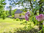 Namas Su Tvenkiniu Ir Pirties Potencialu – - nuotraukos Nr. 5