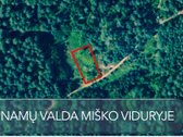 Miško Viduryje parduodamas išskirtinis namų - nuotraukos Nr. 3