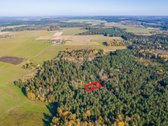 Miško Viduryje parduodamas išskirtinis namų - nuotraukos Nr. 11
