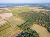 Miško Viduryje parduodamas išskirtinis namų - nuotraukos Nr. 12