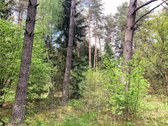 Miško Viduryje parduodamas išskirtinis namų - nuotraukos Nr. 21
