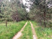 Miško Viduryje parduodamas išskirtinis namų - nuotraukos Nr. 22