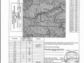 Parduodamas žemės sklypas namams, sodybai, - nuotraukos Nr. 7