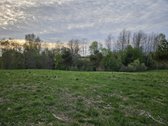 Parduodama sodybvietė 1,327 ha. Sklypas - nuotraukos Nr. 5